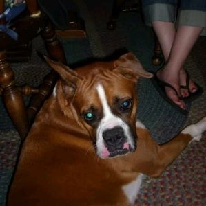 Meet your Posher, Jade